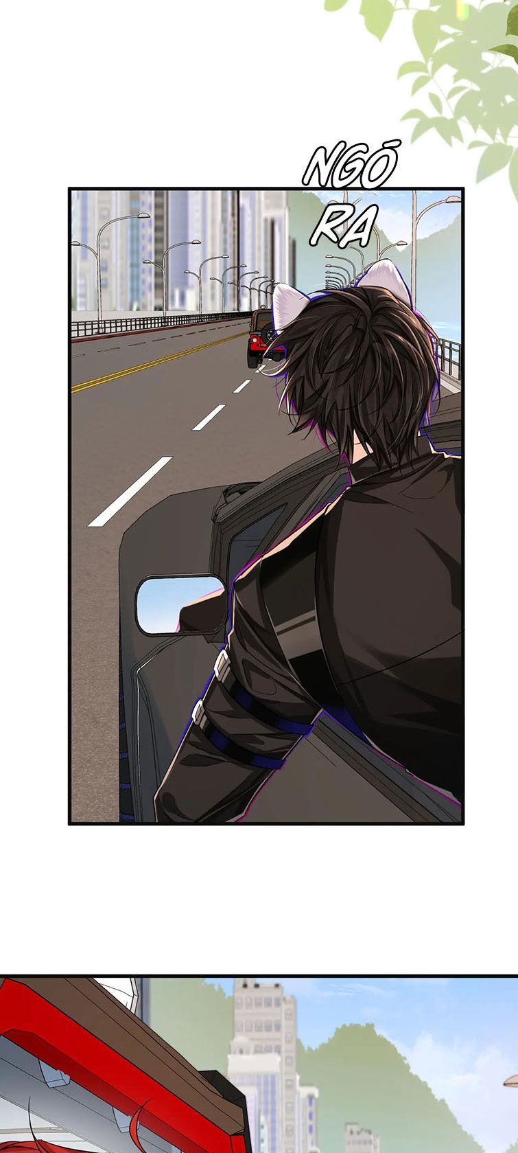 Nhân Ngư Rơi Xuống: Chapter 50