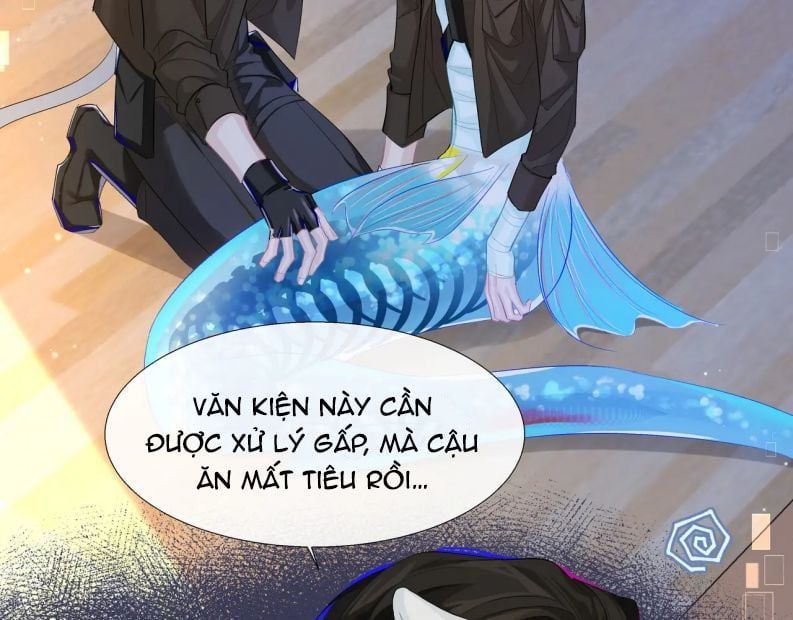 Nhân Ngư Rơi Xuống: Chapter 7