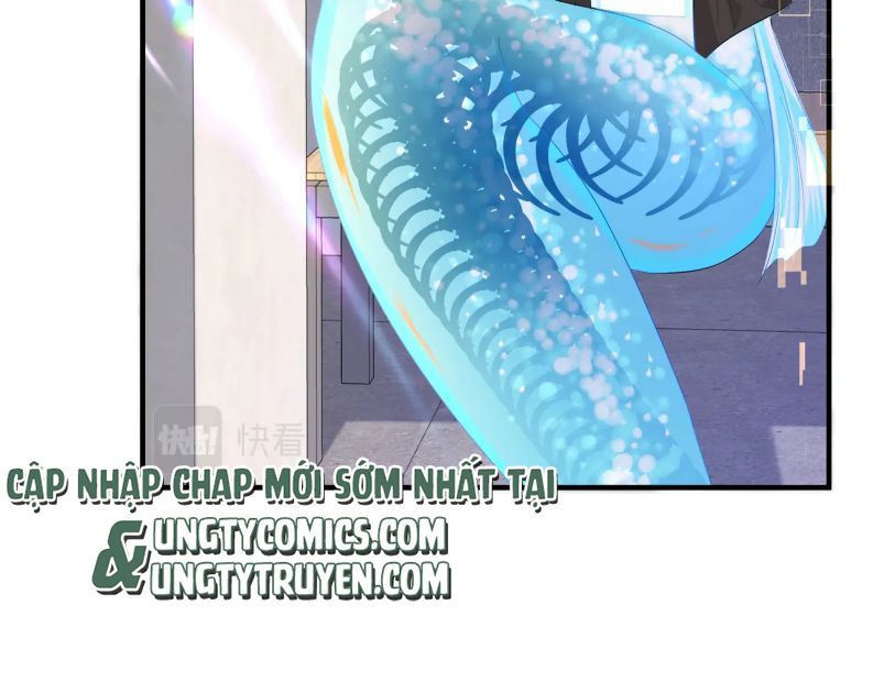 Nhân Ngư Rơi Xuống: Chapter 7