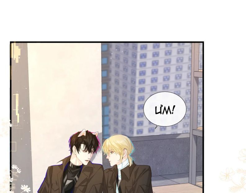 Nhân Ngư Rơi Xuống: Chapter 7