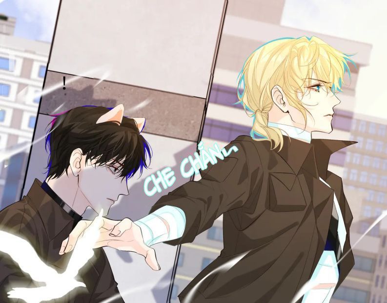 Nhân Ngư Rơi Xuống: Chapter 7