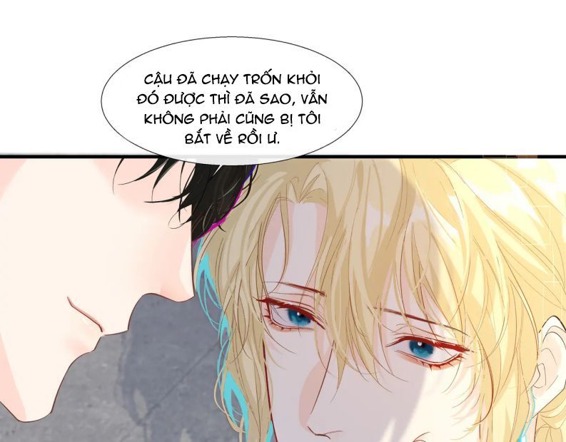 Nhân Ngư Rơi Xuống: Chapter 7