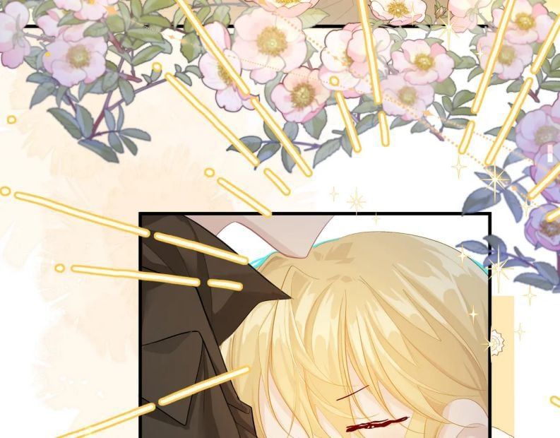 Nhân Ngư Rơi Xuống: Chapter 7