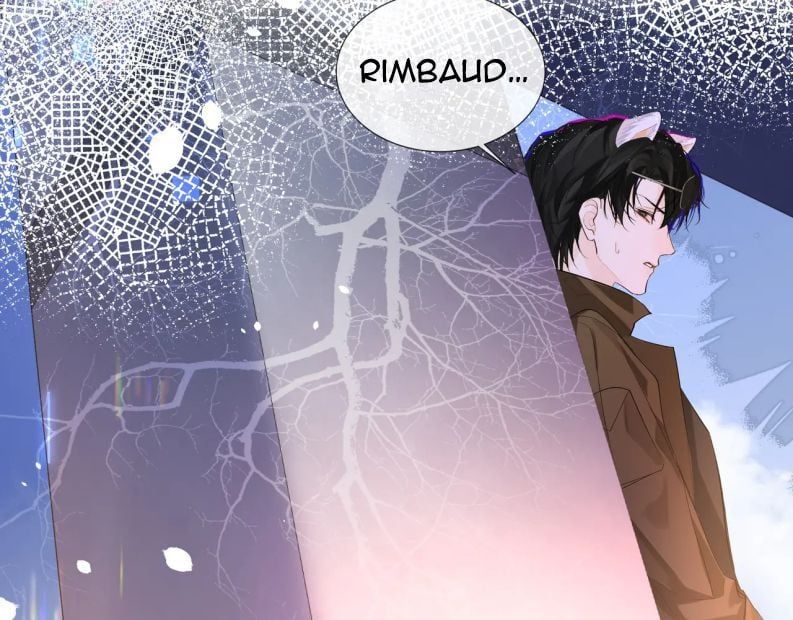 Nhân Ngư Rơi Xuống: Chapter 7