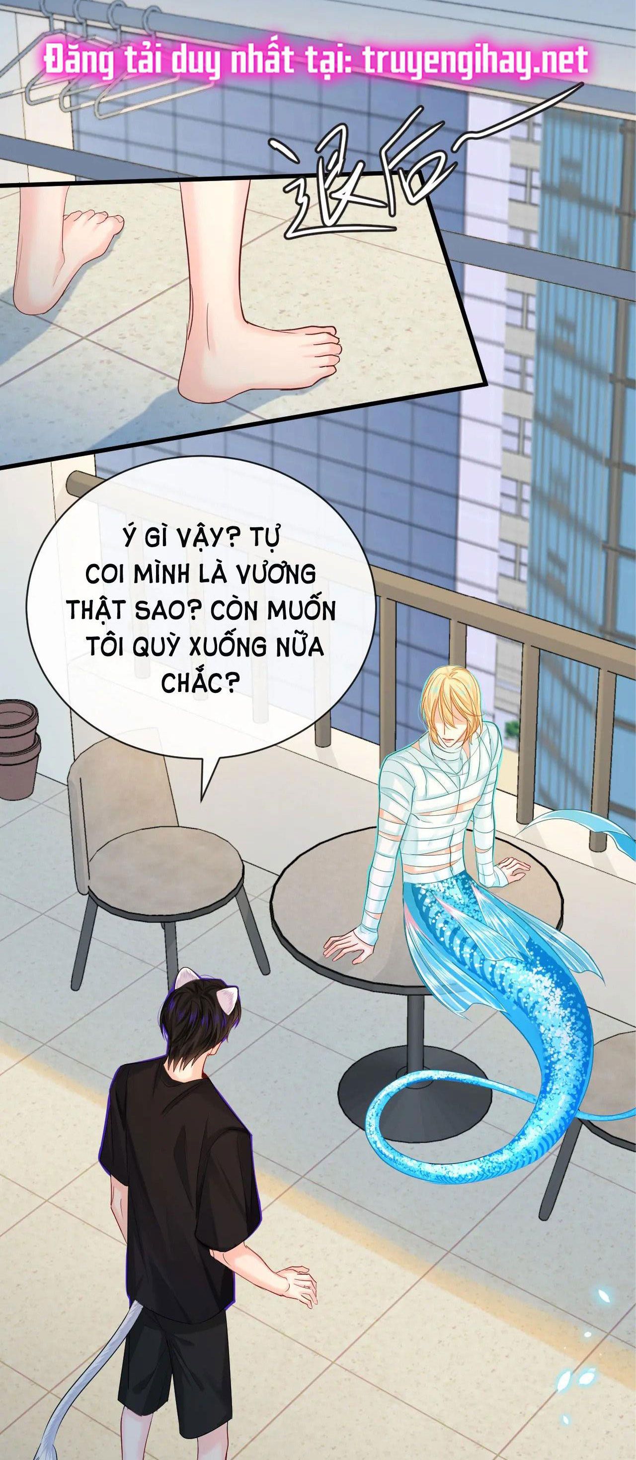Nhân Ngư Sa Ngã: Chapter 44.2