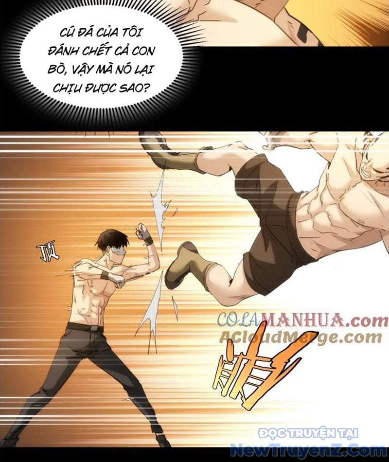 Nhất Ký Trọng Quyền: Chapter 22