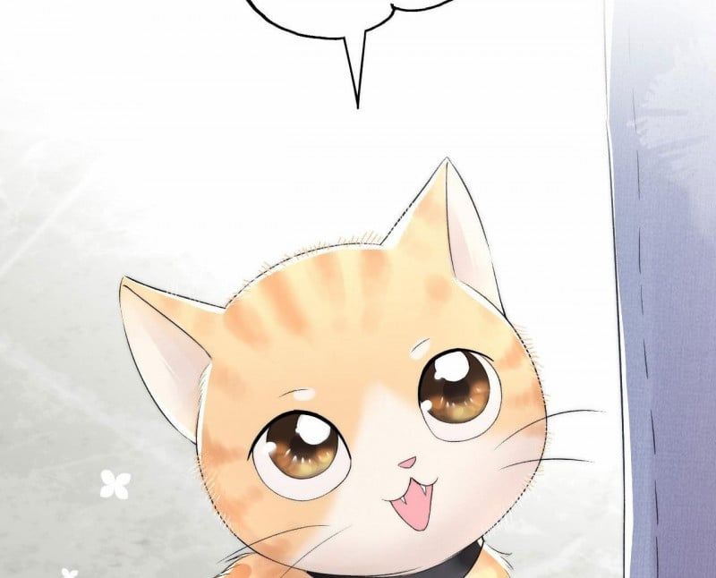 Những Ngày Cùng Tra Công Chính Diện Quyết Đấu: Chapter 2