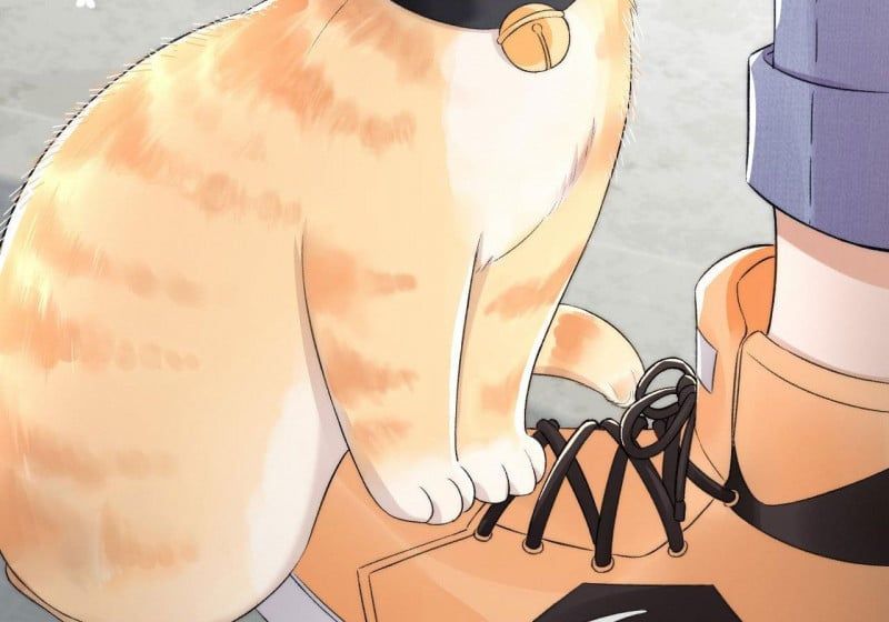 Những Ngày Cùng Tra Công Chính Diện Quyết Đấu: Chapter 2