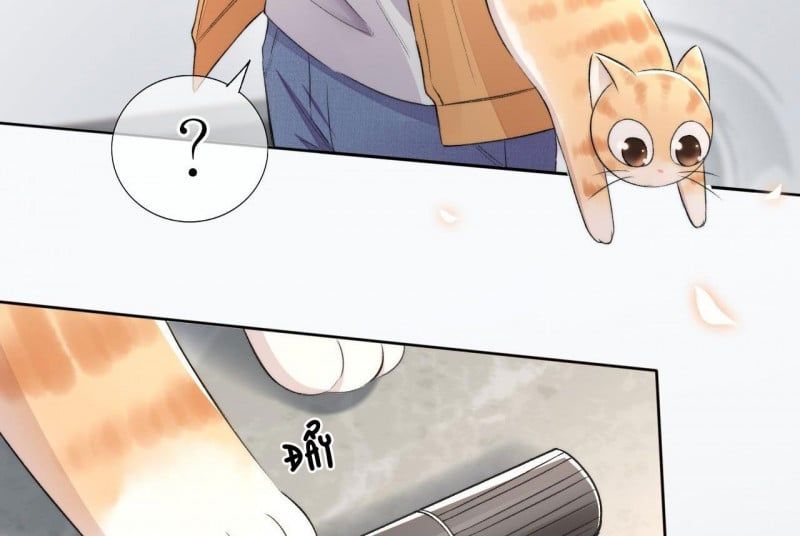 Những Ngày Cùng Tra Công Chính Diện Quyết Đấu: Chapter 2