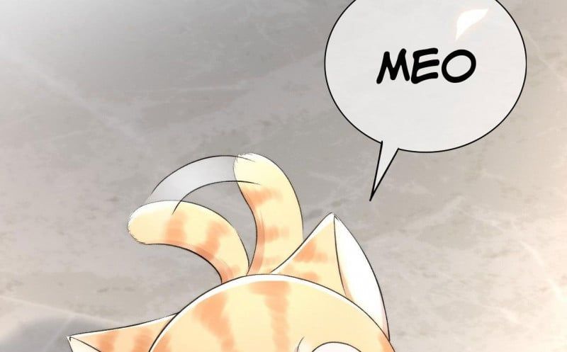 Những Ngày Cùng Tra Công Chính Diện Quyết Đấu: Chapter 2