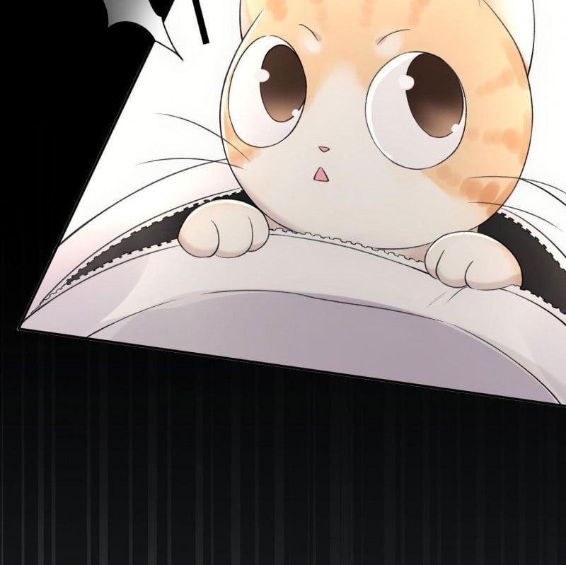 Những Ngày Cùng Tra Công Chính Diện Quyết Đấu: Chapter 2