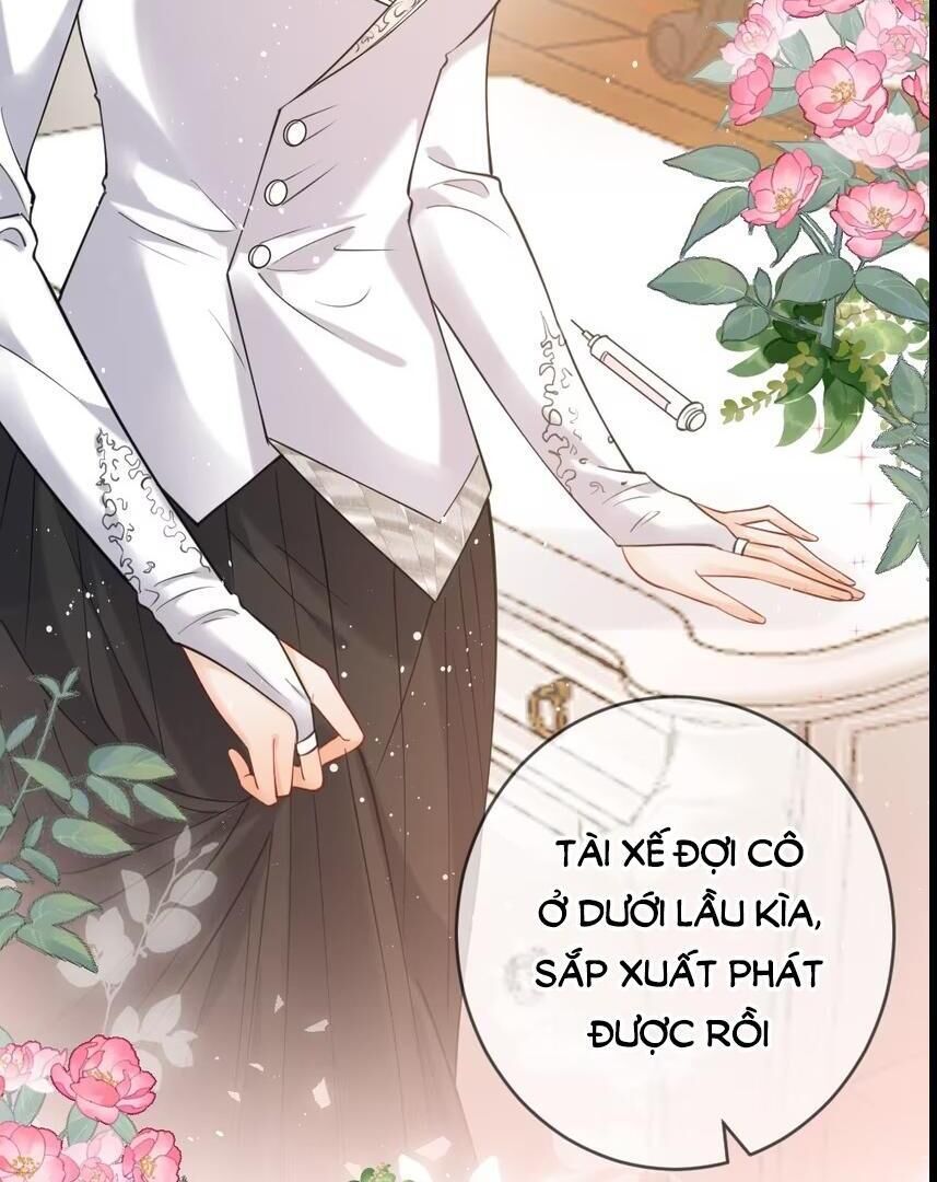 Nữ Chính Hắc Nguyệt Quang Luôn Muốn Đánh Dấu Tôi: Chapter 11