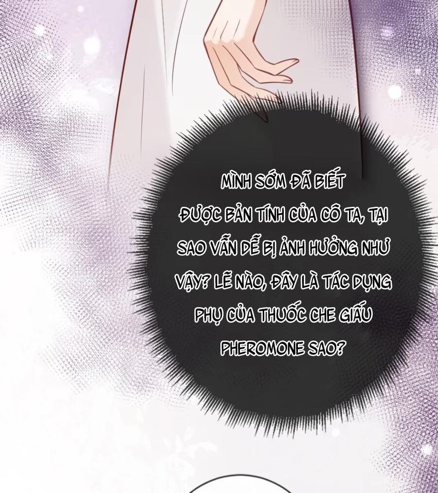 Nữ Chính Hắc Nguyệt Quang Luôn Muốn Đánh Dấu Tôi: Chapter 13