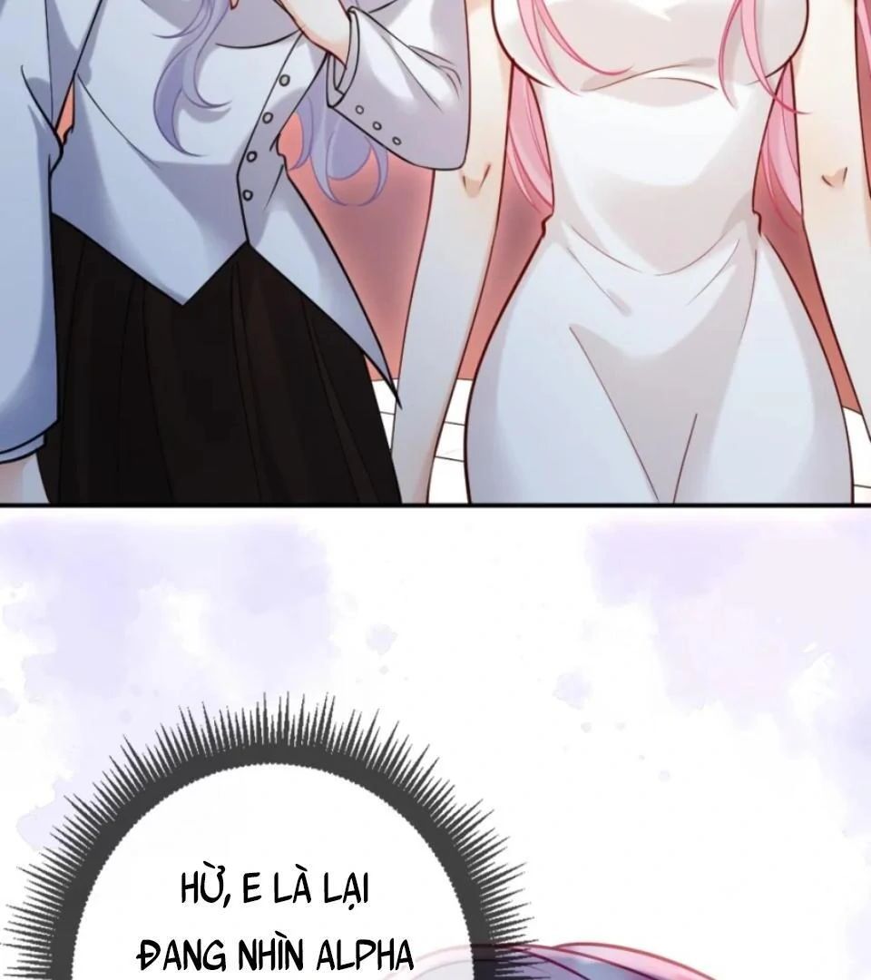 Nữ Chính Hắc Nguyệt Quang Luôn Muốn Đánh Dấu Tôi: Chapter 13