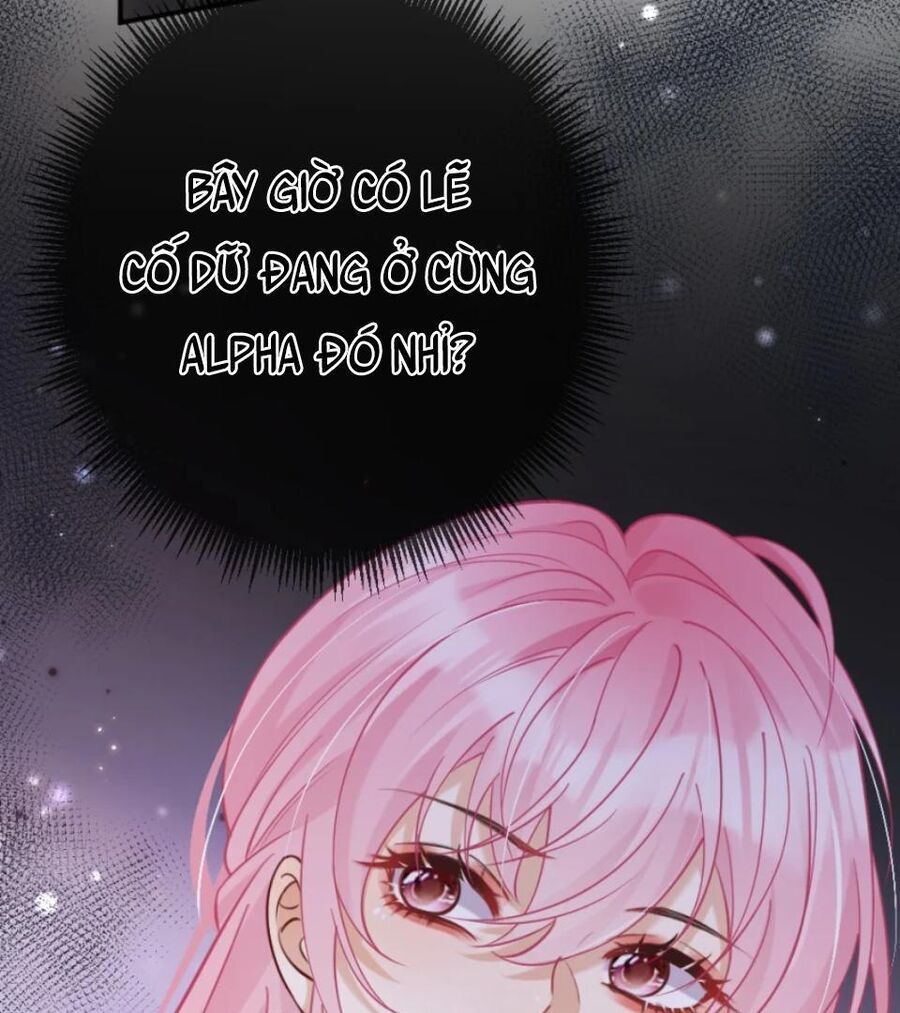 Nữ Chính Hắc Nguyệt Quang Luôn Muốn Đánh Dấu Tôi: Chapter 13