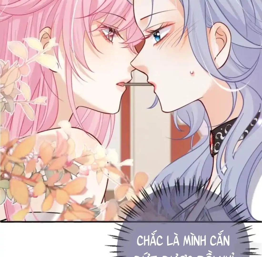 Nữ Chính Hắc Nguyệt Quang Luôn Muốn Đánh Dấu Tôi: Chapter 16