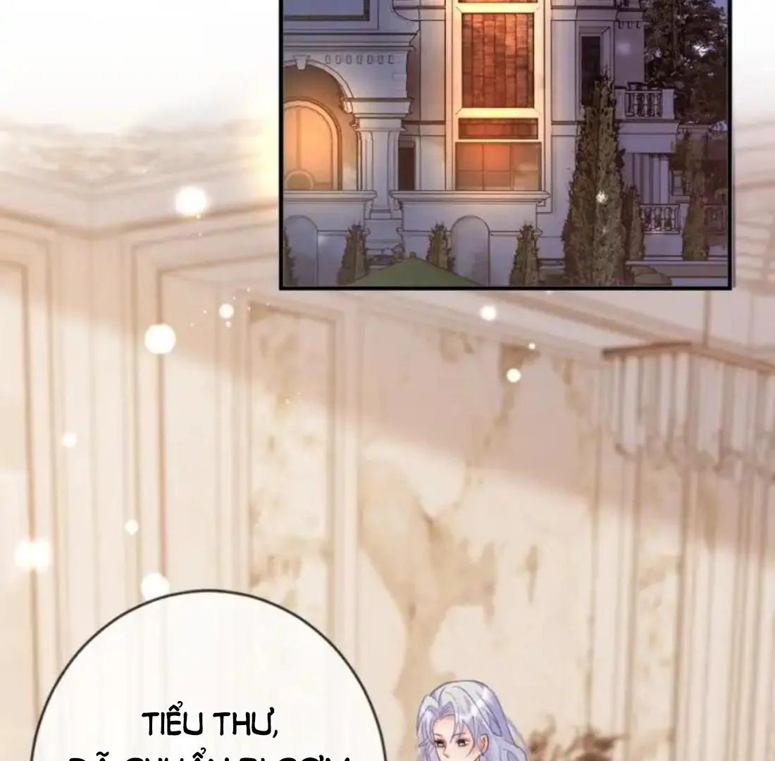 Nữ Chính Hắc Nguyệt Quang Luôn Muốn Đánh Dấu Tôi: Chapter 16