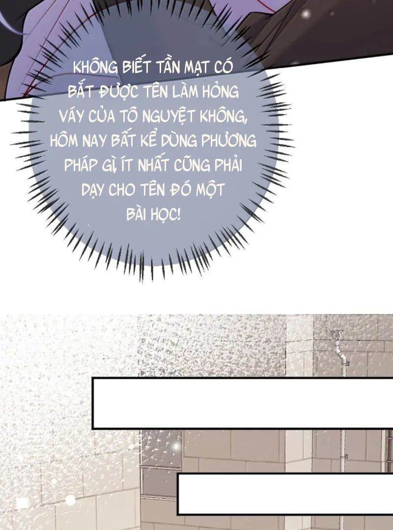 Nữ Chính Hắc Nguyệt Quang Luôn Muốn Đánh Dấu Tôi: Chapter 19