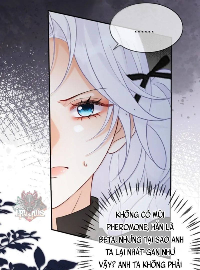 Nữ Chính Hắc Nguyệt Quang Luôn Muốn Đánh Dấu Tôi: Chapter 19