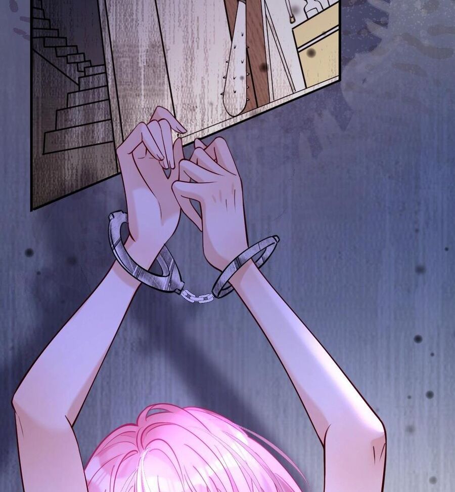 Nữ Chính Hắc Nguyệt Quang Luôn Muốn Đánh Dấu Tôi: Chapter 2