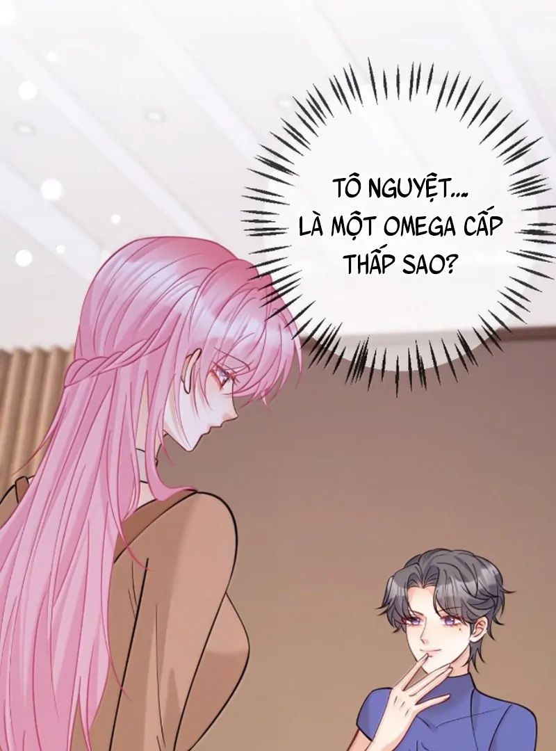 Nữ Chính Hắc Nguyệt Quang Luôn Muốn Đánh Dấu Tôi: Chapter 24