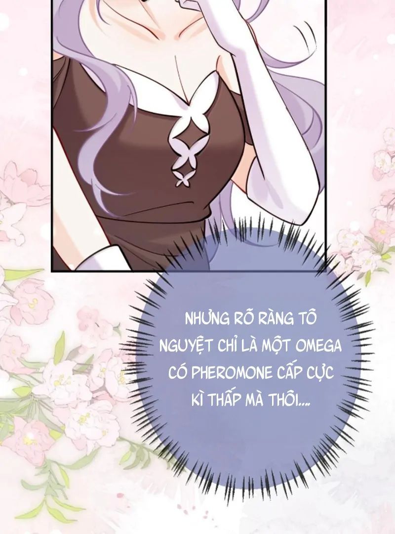 Nữ Chính Hắc Nguyệt Quang Luôn Muốn Đánh Dấu Tôi: Chapter 25