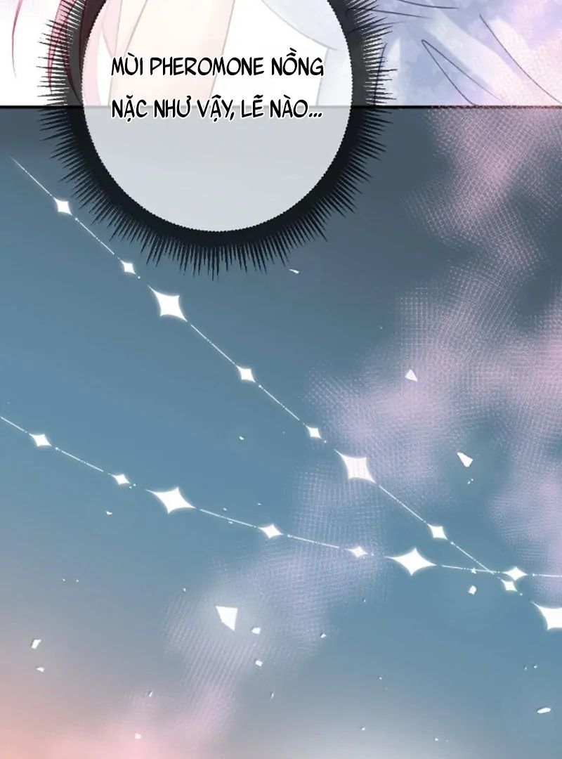 Nữ Chính Hắc Nguyệt Quang Luôn Muốn Đánh Dấu Tôi: Chapter 27