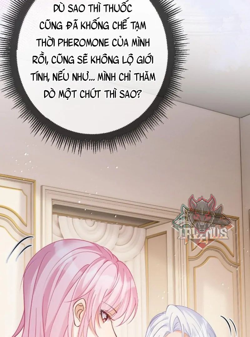 Nữ Chính Hắc Nguyệt Quang Luôn Muốn Đánh Dấu Tôi: Chapter 28