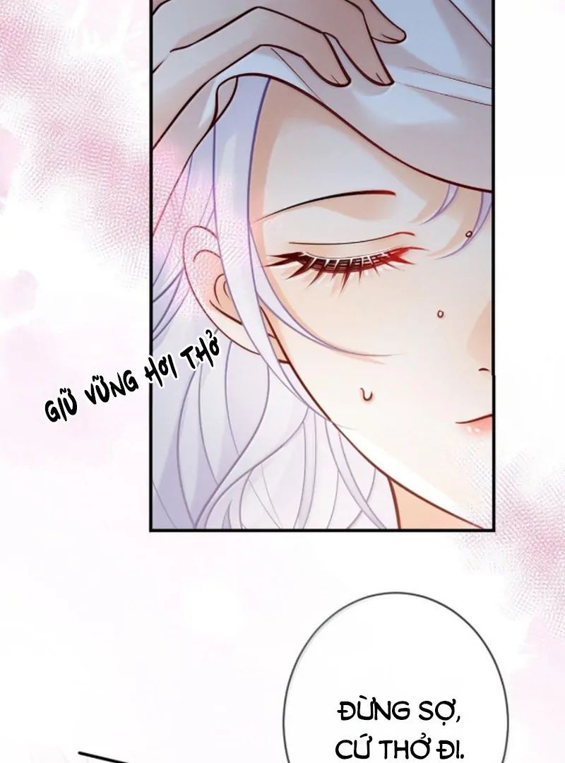 Nữ Chính Hắc Nguyệt Quang Luôn Muốn Đánh Dấu Tôi: Chapter 28