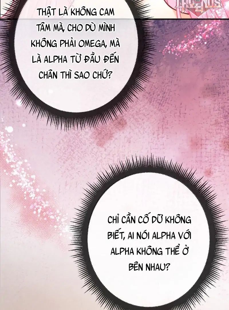 Nữ Chính Hắc Nguyệt Quang Luôn Muốn Đánh Dấu Tôi: Chapter 28