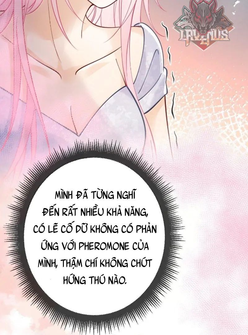 Nữ Chính Hắc Nguyệt Quang Luôn Muốn Đánh Dấu Tôi: Chapter 28