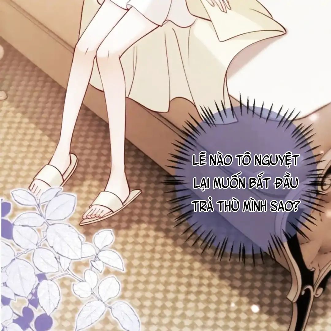 Nữ Chính Hắc Nguyệt Quang Luôn Muốn Đánh Dấu Tôi: Chapter 29