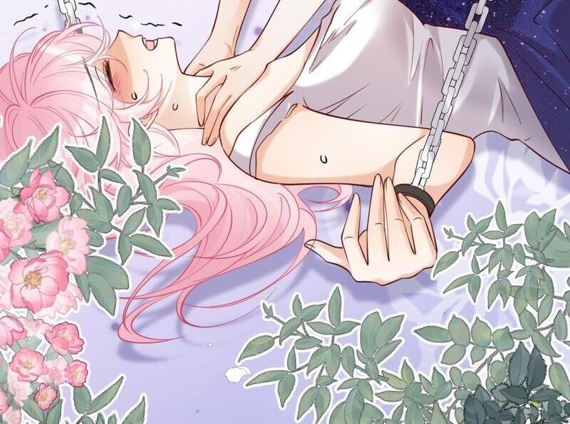 Nữ Chính Hắc Nguyệt Quang Luôn Muốn Đánh Dấu Tôi: Chapter 4