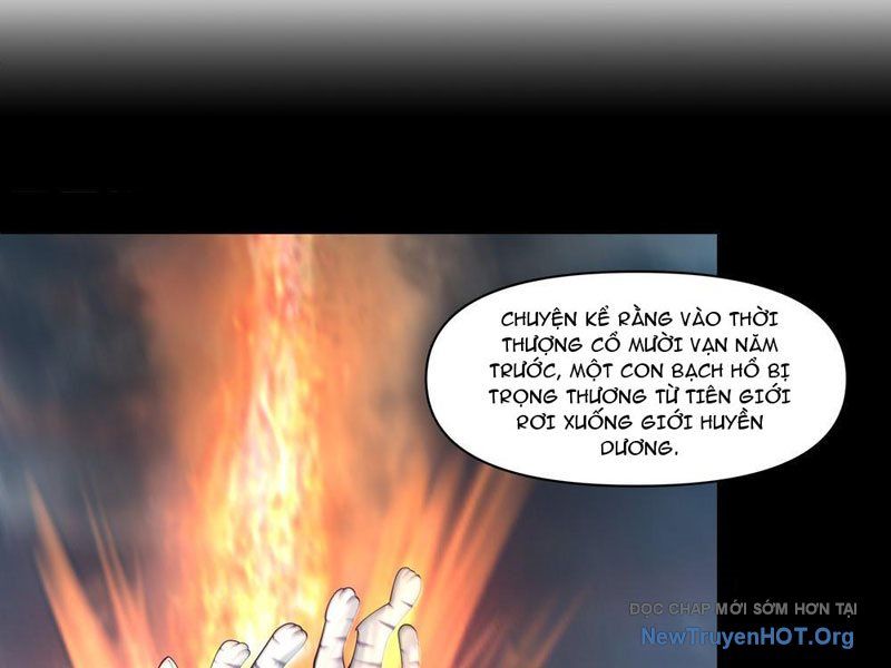 Nữ Phụ Tu Tiên Từ Chối Kịch Bản Pháo Hôi: Chapter 10