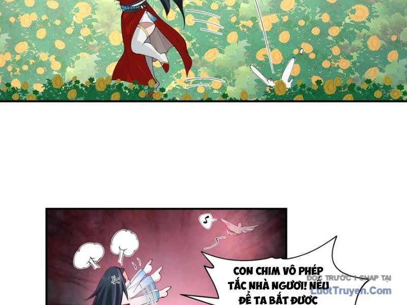 Nữ Phụ Tu Tiên Từ Chối Kịch Bản Pháo Hôi: Chapter 13