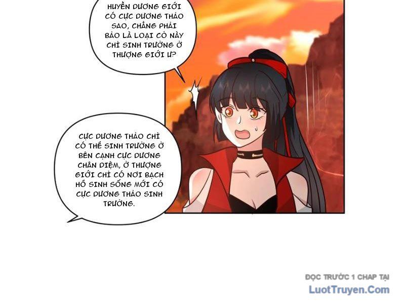 Nữ Phụ Tu Tiên Từ Chối Kịch Bản Pháo Hôi: Chapter 14