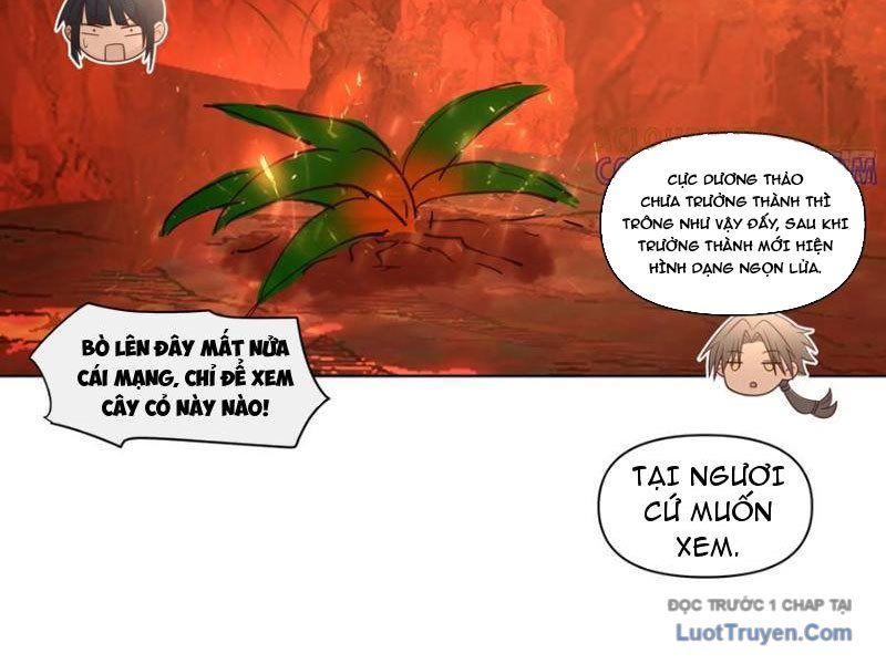 Nữ Phụ Tu Tiên Từ Chối Kịch Bản Pháo Hôi: Chapter 14