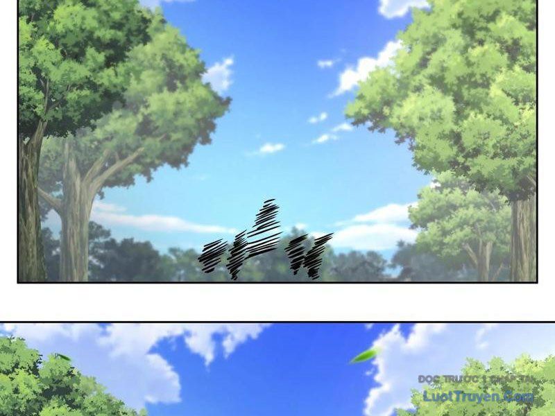 Nữ Phụ Tu Tiên Từ Chối Kịch Bản Pháo Hôi: Chapter 15