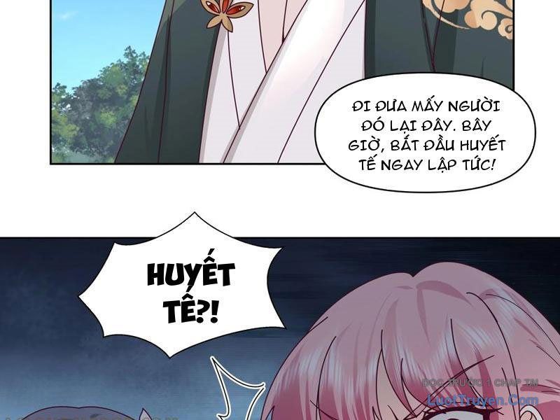 Nữ Phụ Tu Tiên Từ Chối Kịch Bản Pháo Hôi: Chapter 15