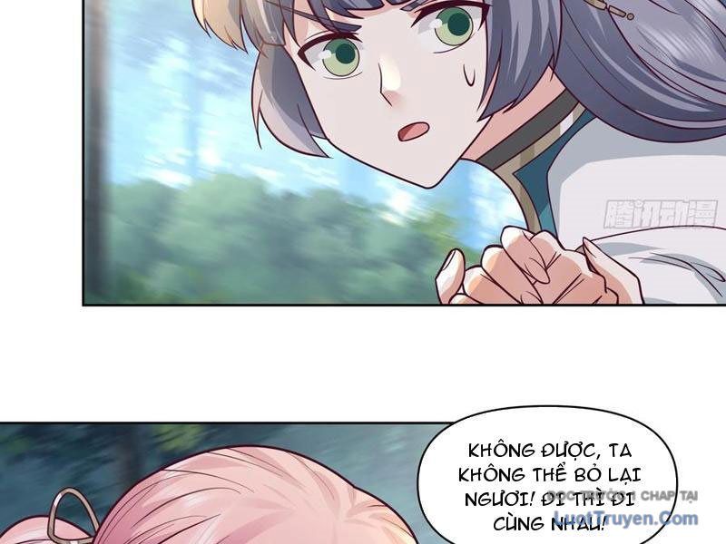 Nữ Phụ Tu Tiên Từ Chối Kịch Bản Pháo Hôi: Chapter 15