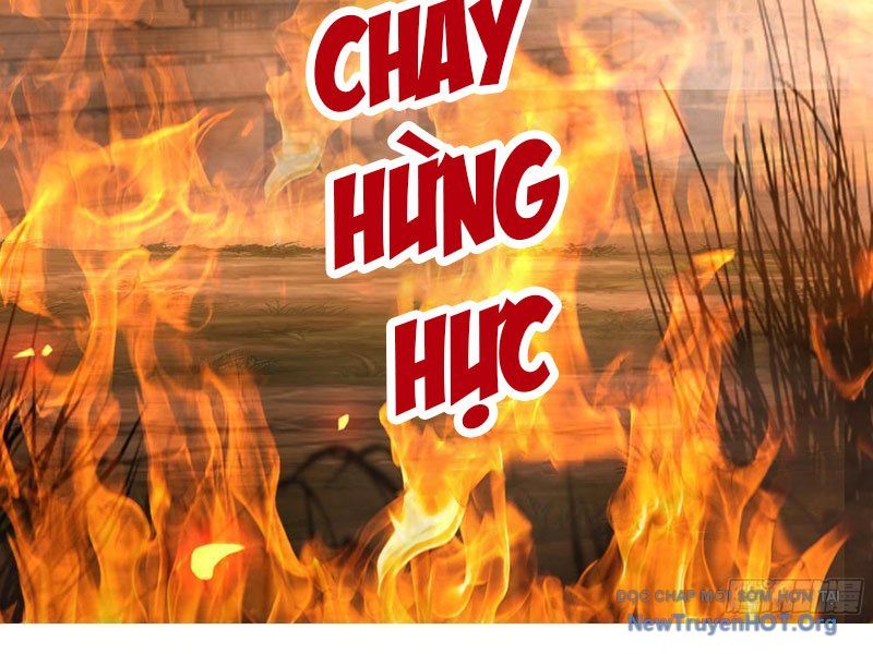 Nữ Phụ Tu Tiên Từ Chối Kịch Bản Pháo Hôi: Chapter 2