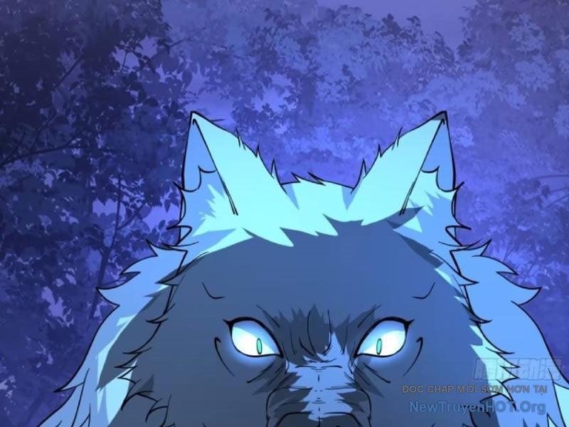 Nữ Phụ Tu Tiên Từ Chối Kịch Bản Pháo Hôi: Chapter 8