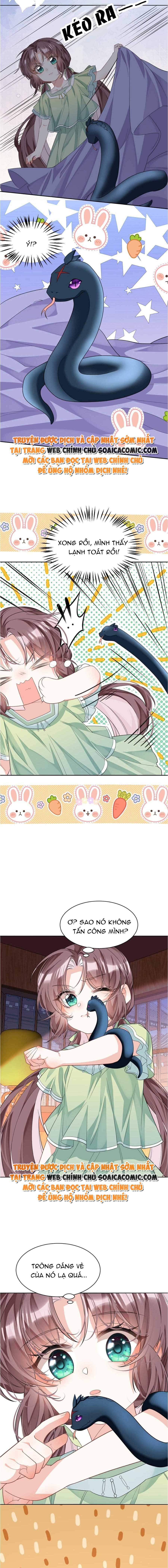 Nuôi Dưỡng Vai Ác Đúng Cách: Chapter 12