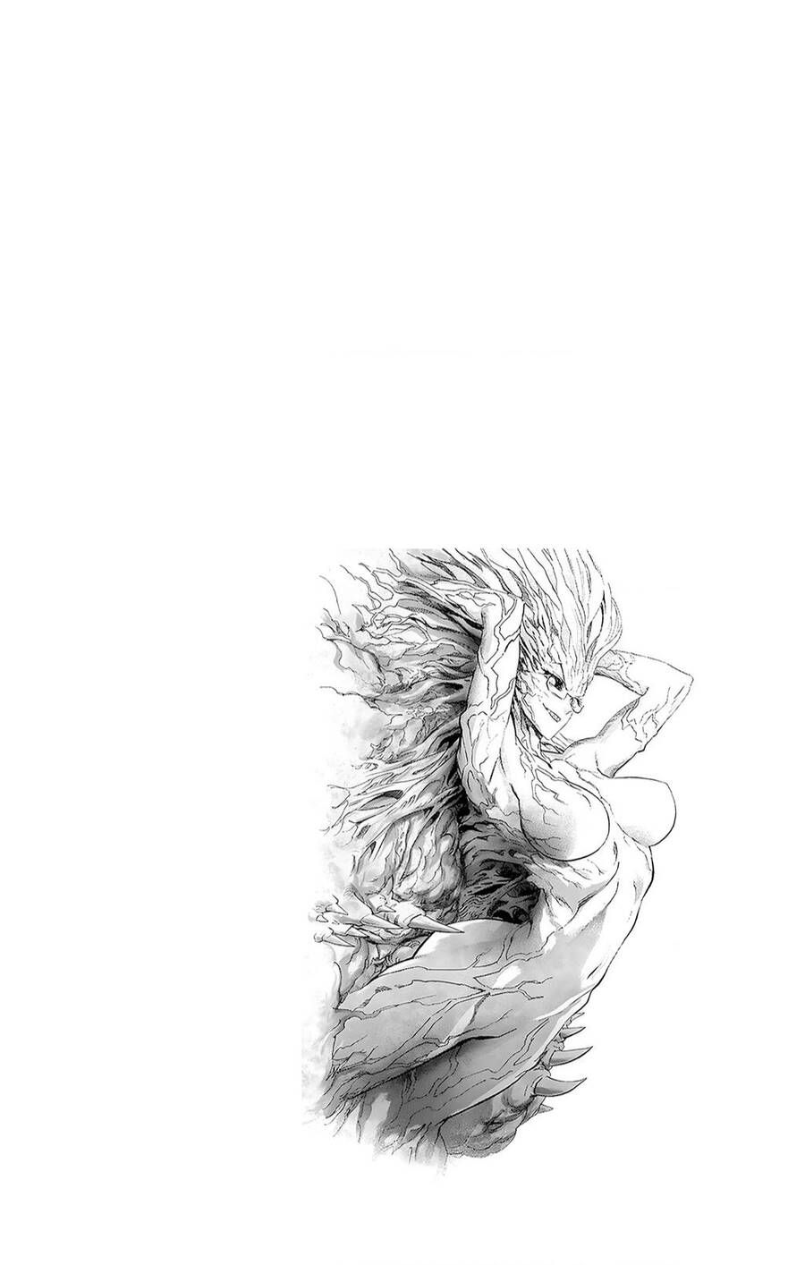 One Punch Man: Chapter 234.5