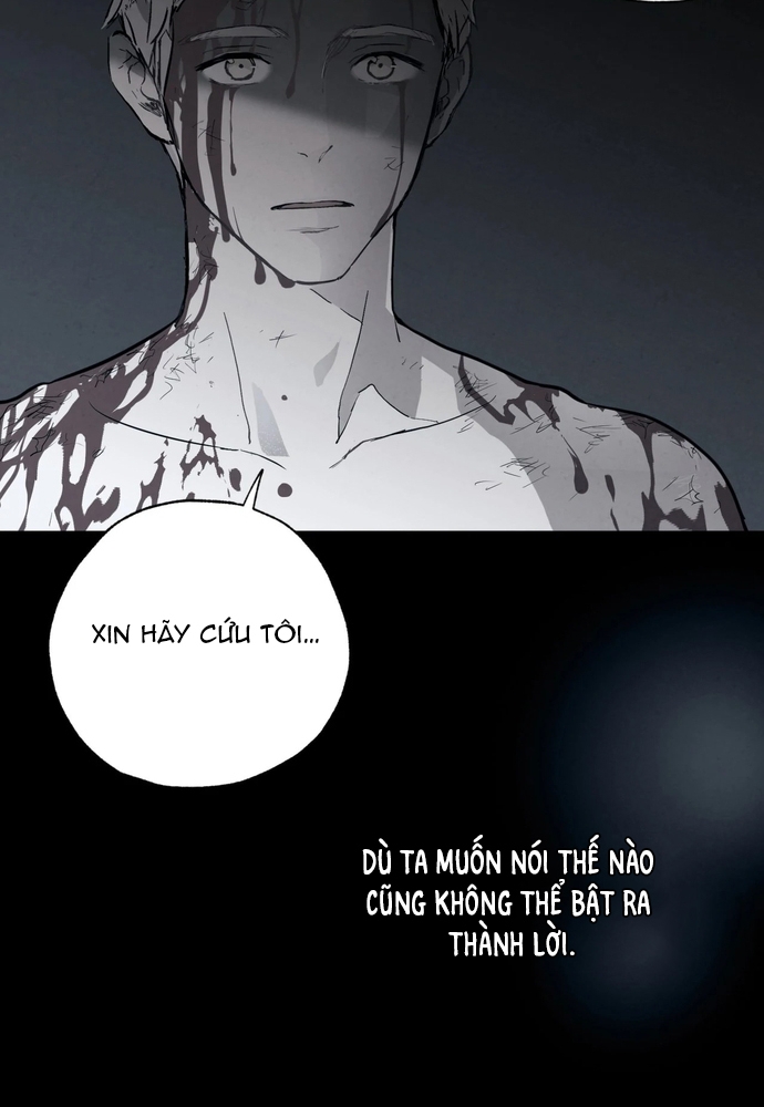 Pha Lê Xanh: Chapter 50