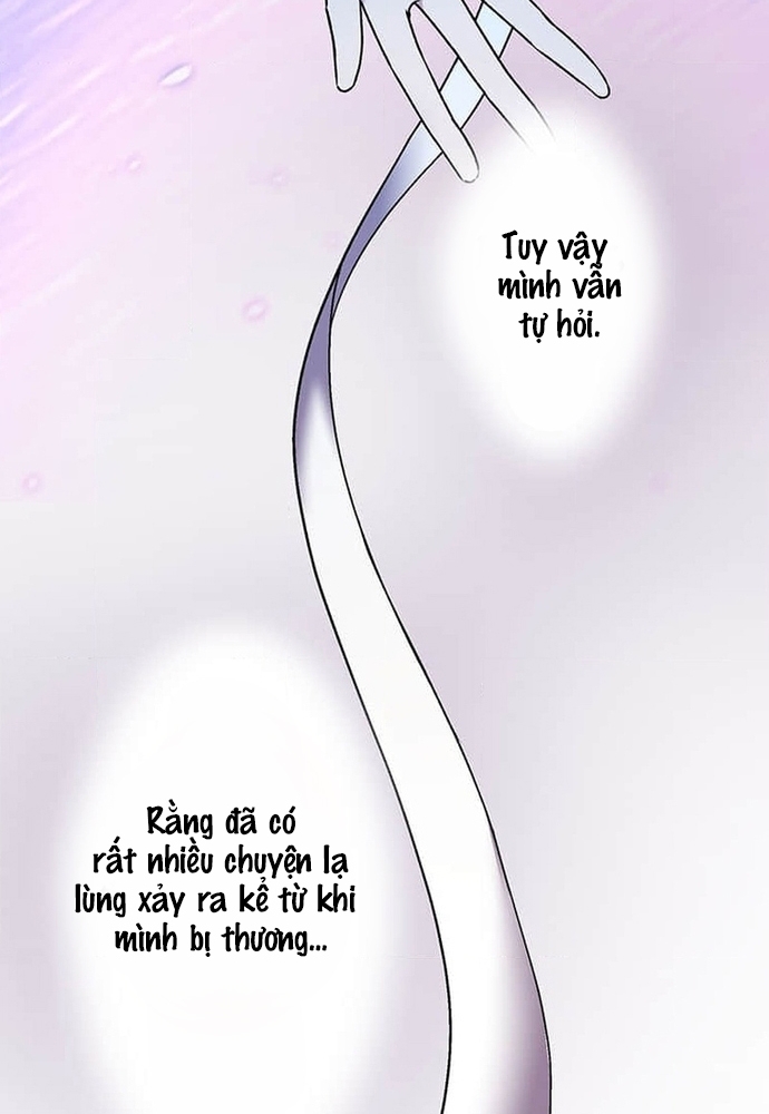 Phản Chiếu: Bóng Tối Trong Tôi: Chapter 8