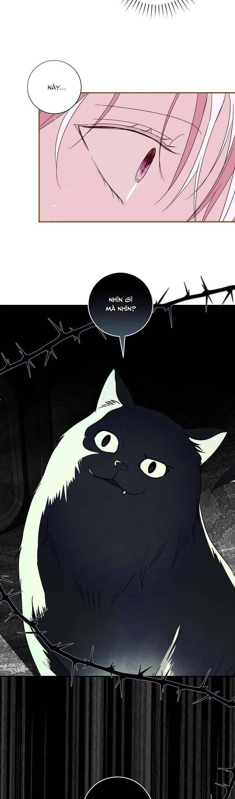 Phản Diện À, Tôi Sẽ Làm Mọi Thứ Cho Anh Trừ Kết Hôn Nhé!: Chapter 9