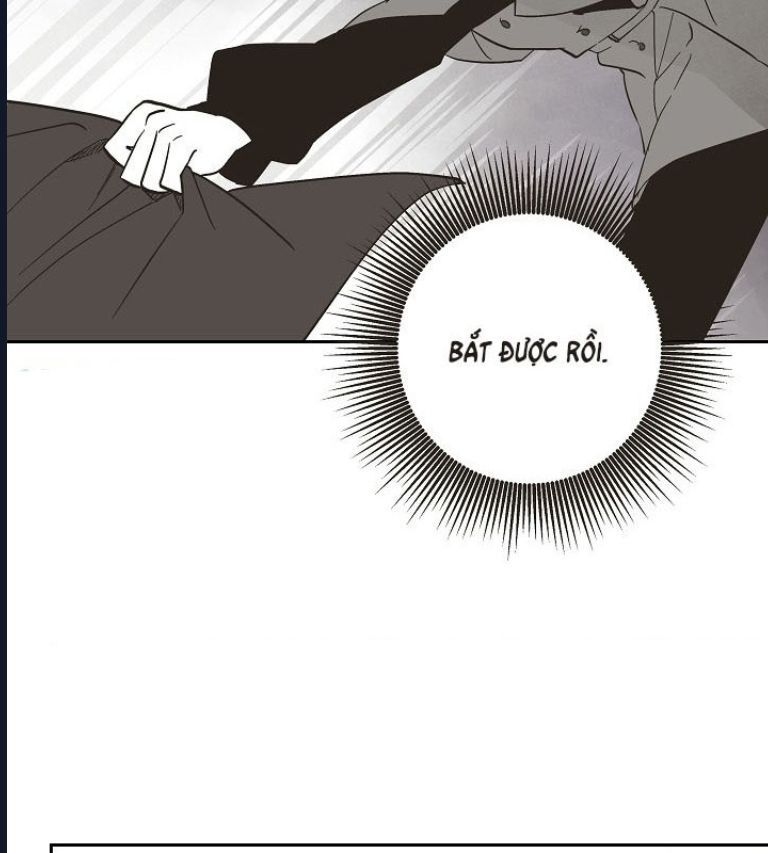 Pháp Sư Khởi Nguyên: Chapter 13