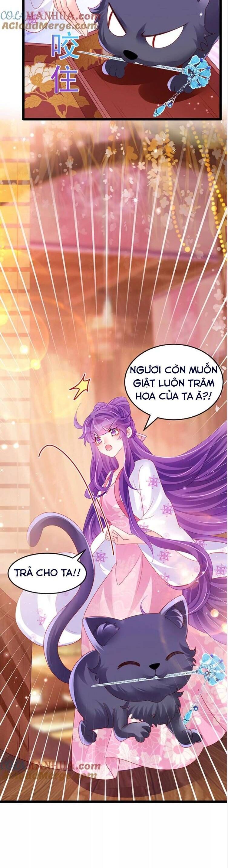 PHẾ SÀI TIỂU THƯ MUỐN NGHỊCH THIÊN CẢI MỆNH: Chapter 160