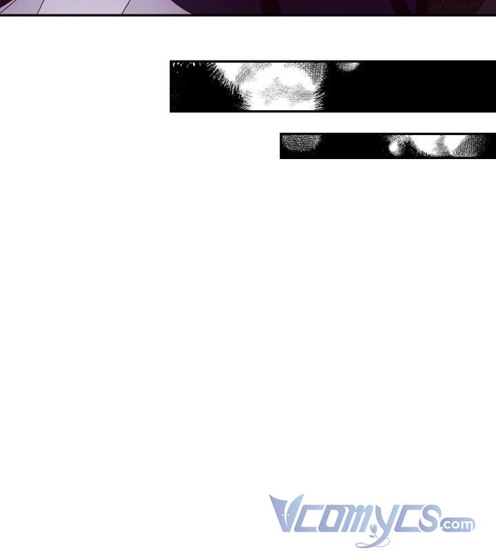 Phương Pháp Che Giấu Đứa Con Của Hoàng Đế: Chapter 28.5